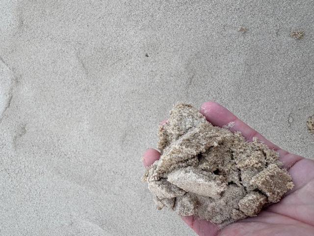 Žltý piesok - záhoracky